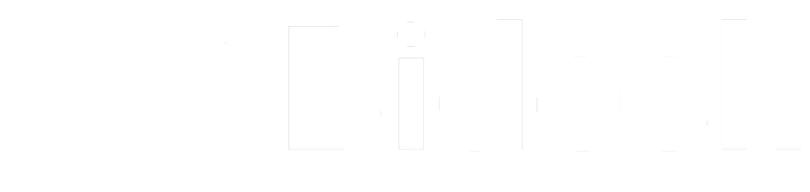 Bidesh